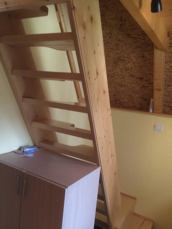 Дома для отпуска Gagovic Apartman Жабляк-13