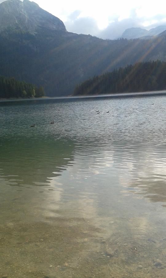 Дома для отпуска Gagovic Apartman Жабляк-5