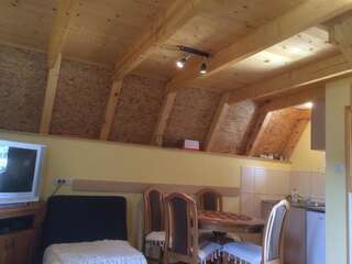 Дома для отпуска Gagovic Apartman Жабляк Дом для отпуска-8