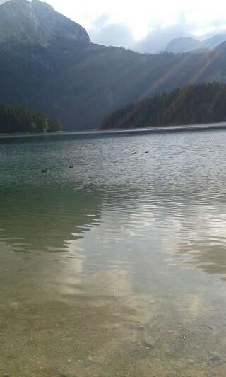 Дома для отпуска Gagovic Apartman Жабляк-1