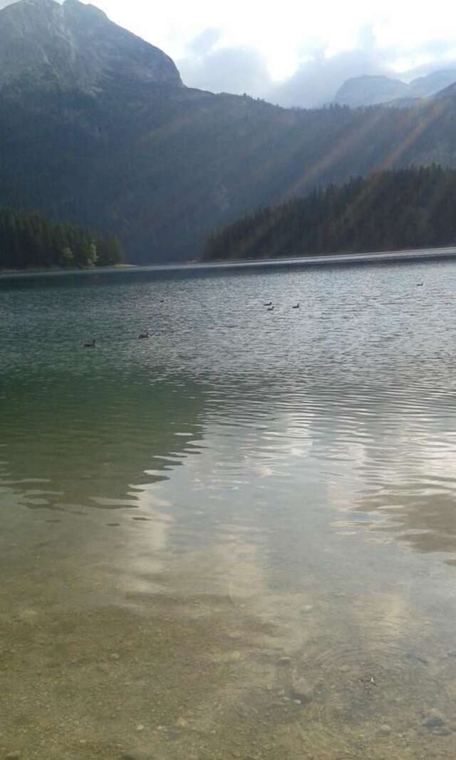 Дома для отпуска Gagovic Apartman Жабляк-4